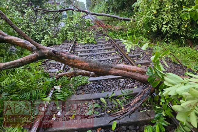 ගාල්ලේ දී ගසක් කඩා වැටී දුම්රිය ගමනාගමනයට බාධා.