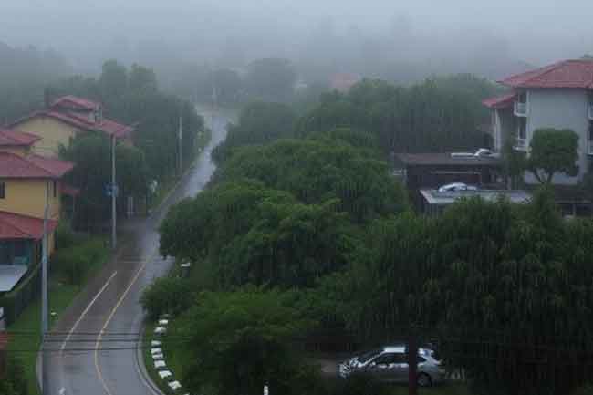 අද ප්‍රදේශ කිහිපයකට තද වැසි.