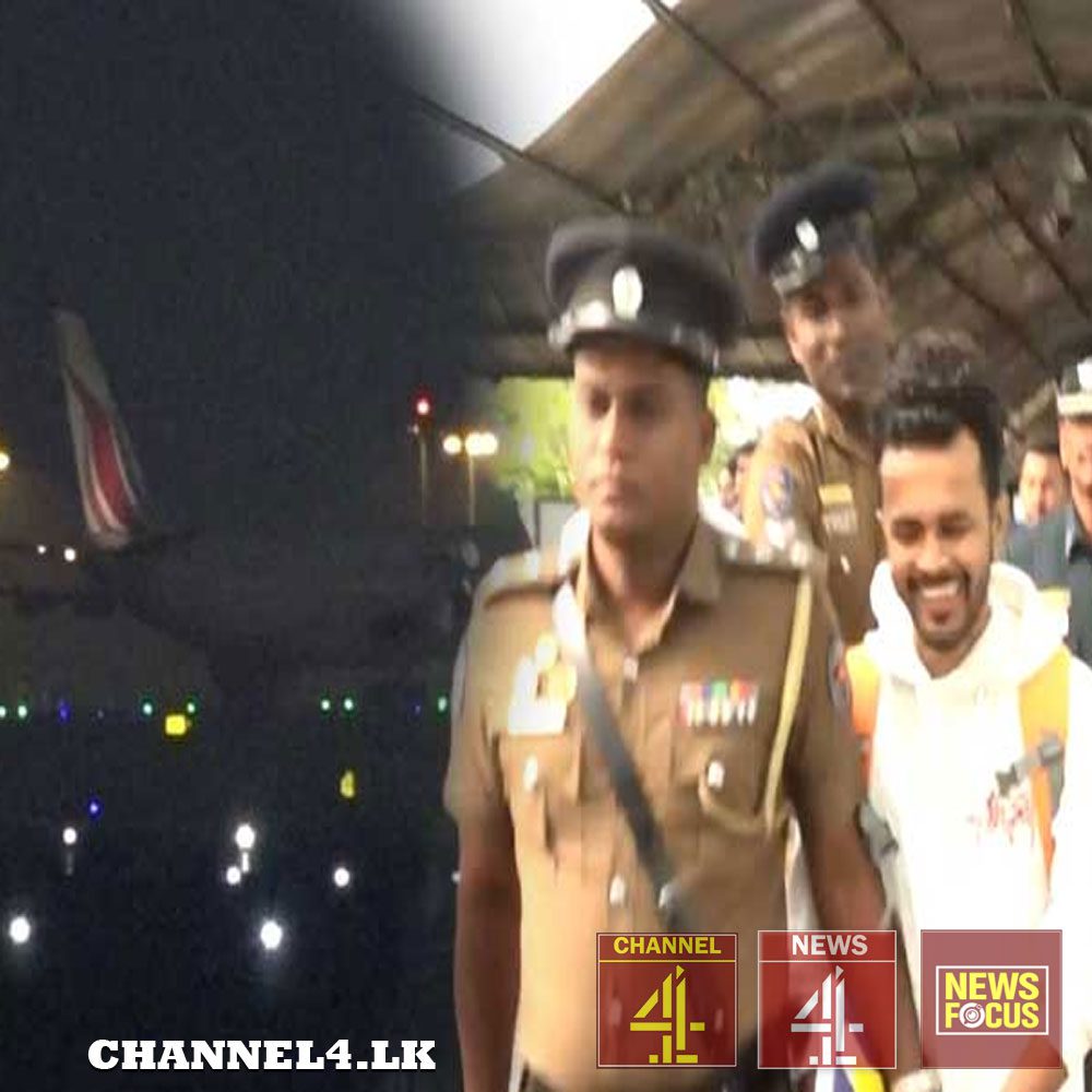 පොඩි ලැසී දිවයිනට රැගෙන එයි