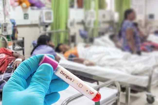 ඩෙංගු මරණ 50යි – සමස්ත රෝගීන් 73,000 ඉක්මවයි.